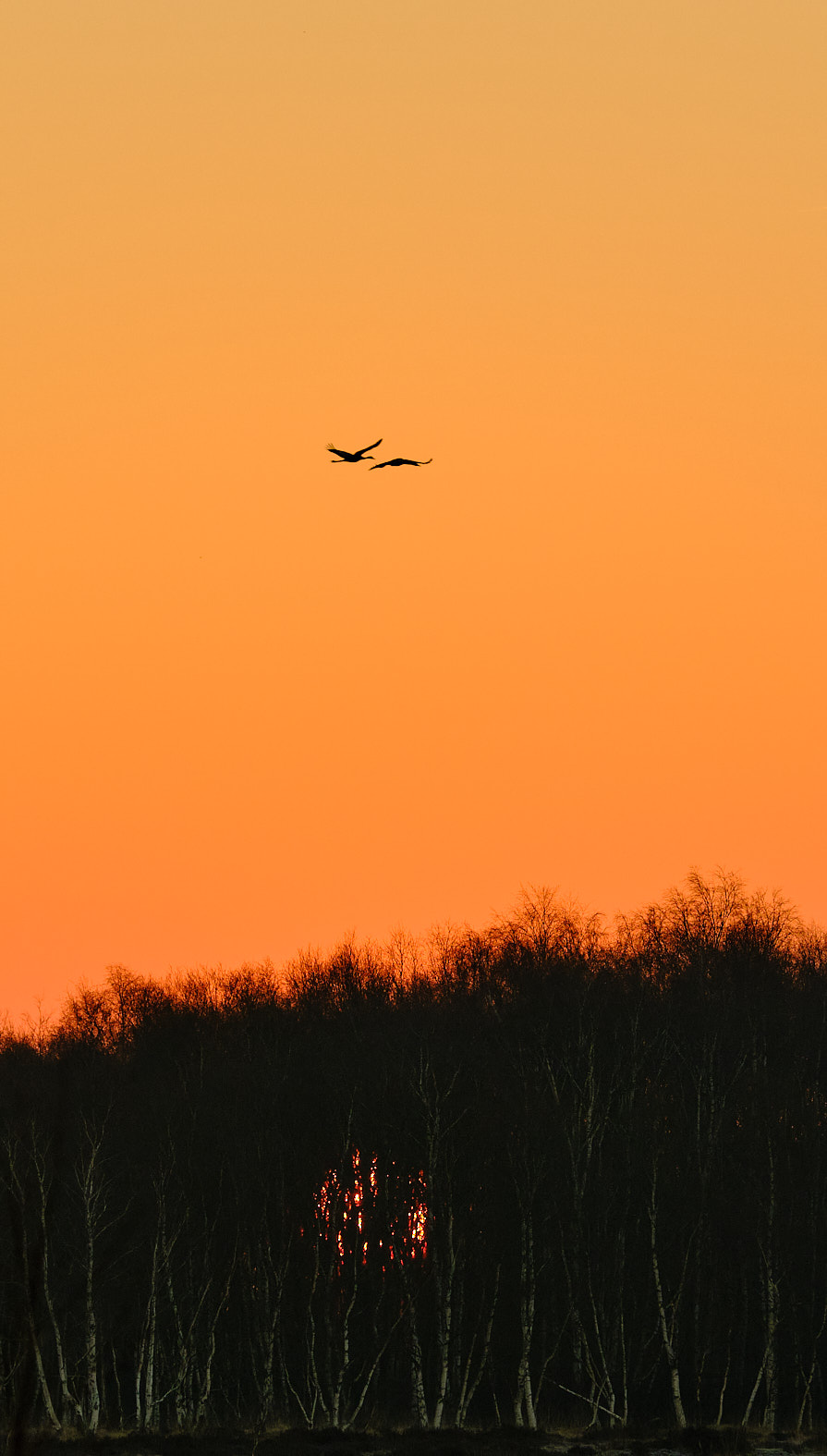 22 03 20 xt3  DSF7505