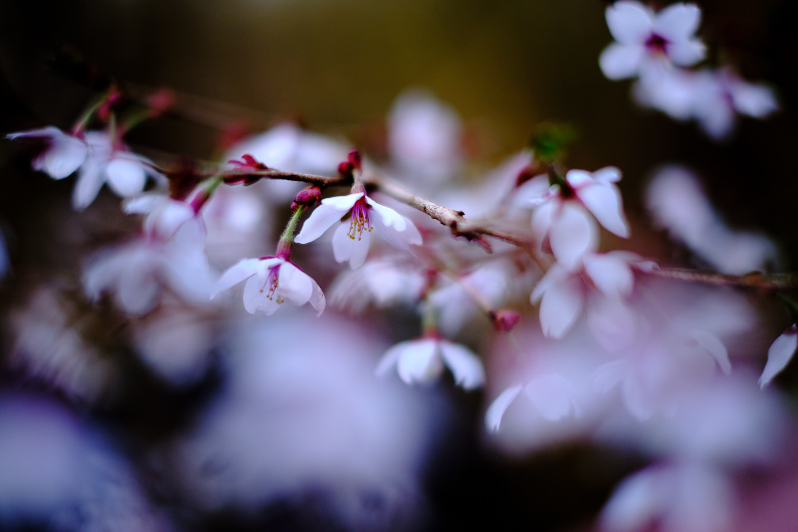 22 03 29 xt3  DSF7990