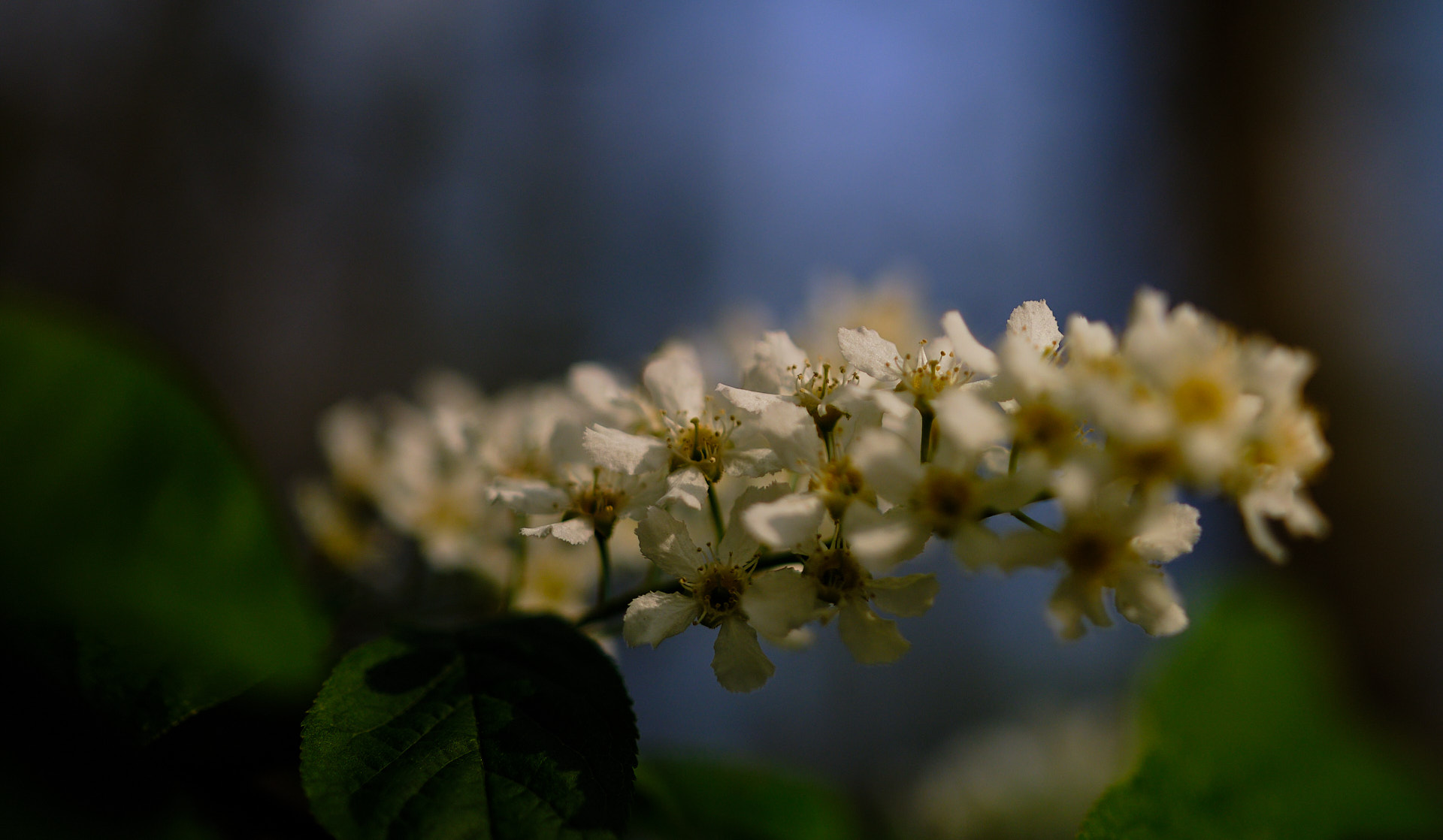 22 04 24 xt3  DSF8965