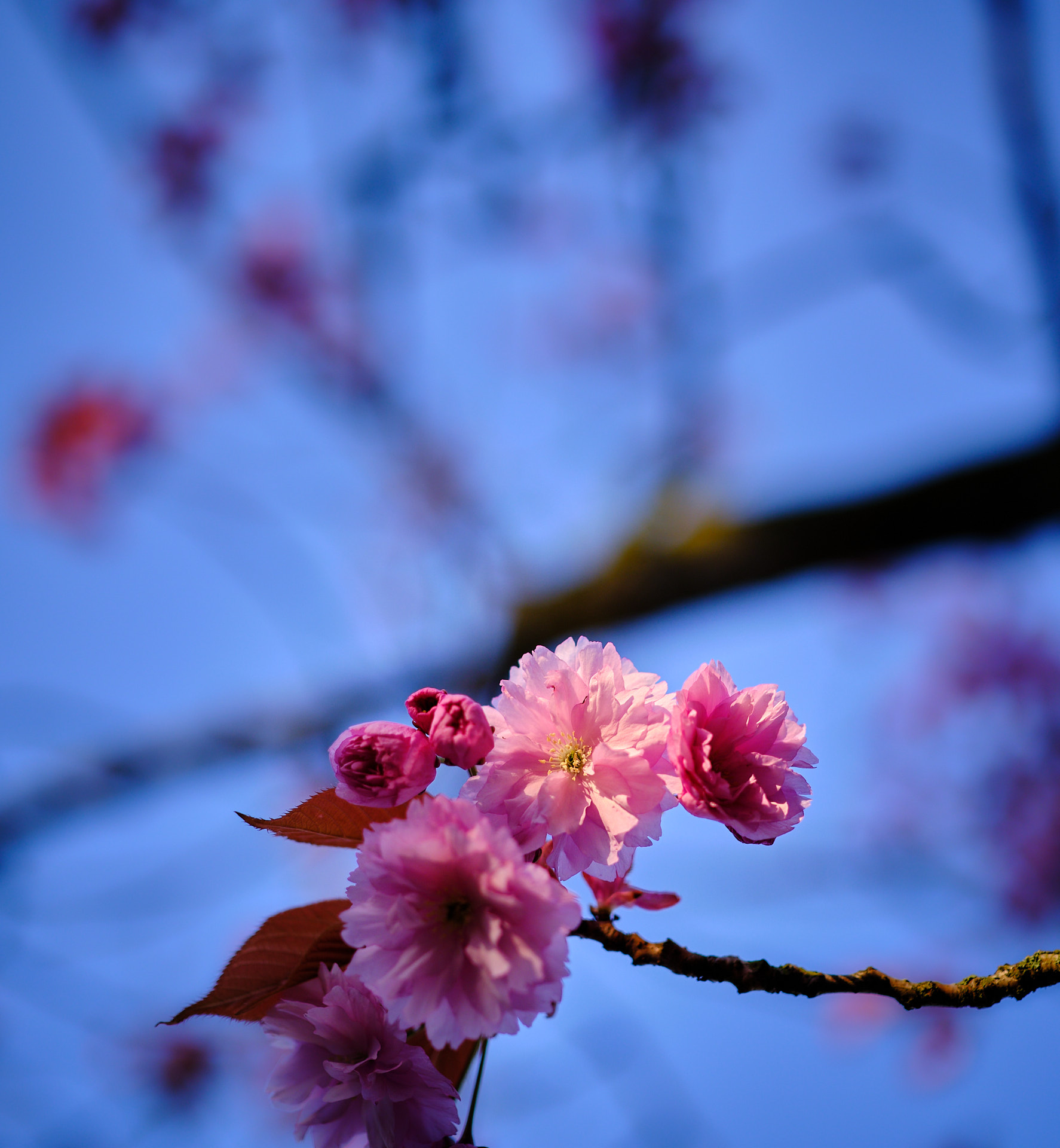 22 04 27 xt3  DSF91871