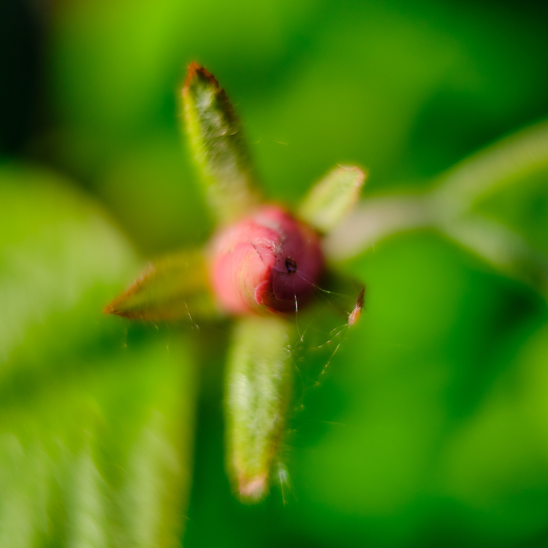 22 05 04 xt3  DSF9302