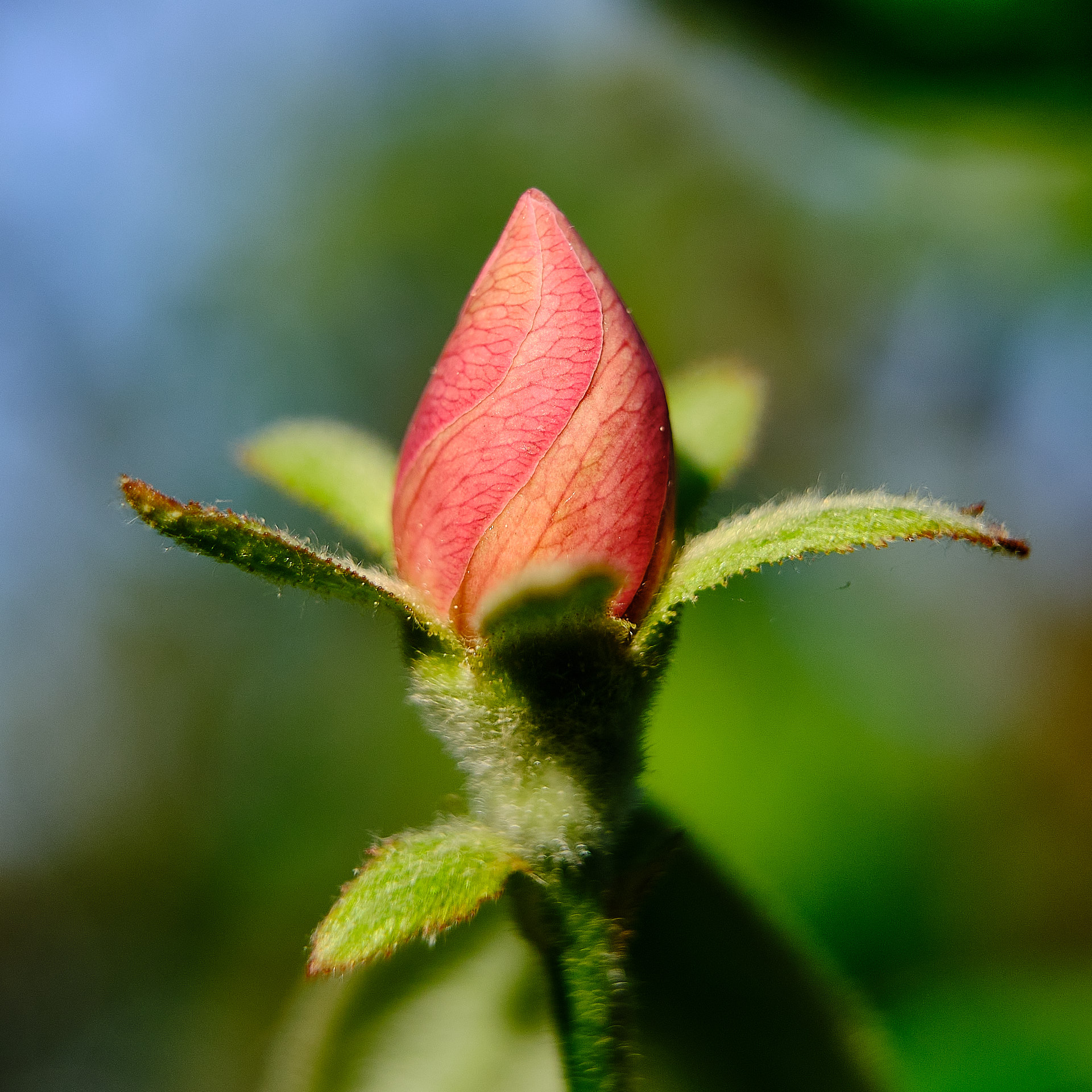 22 05 04 xt3  DSF9310