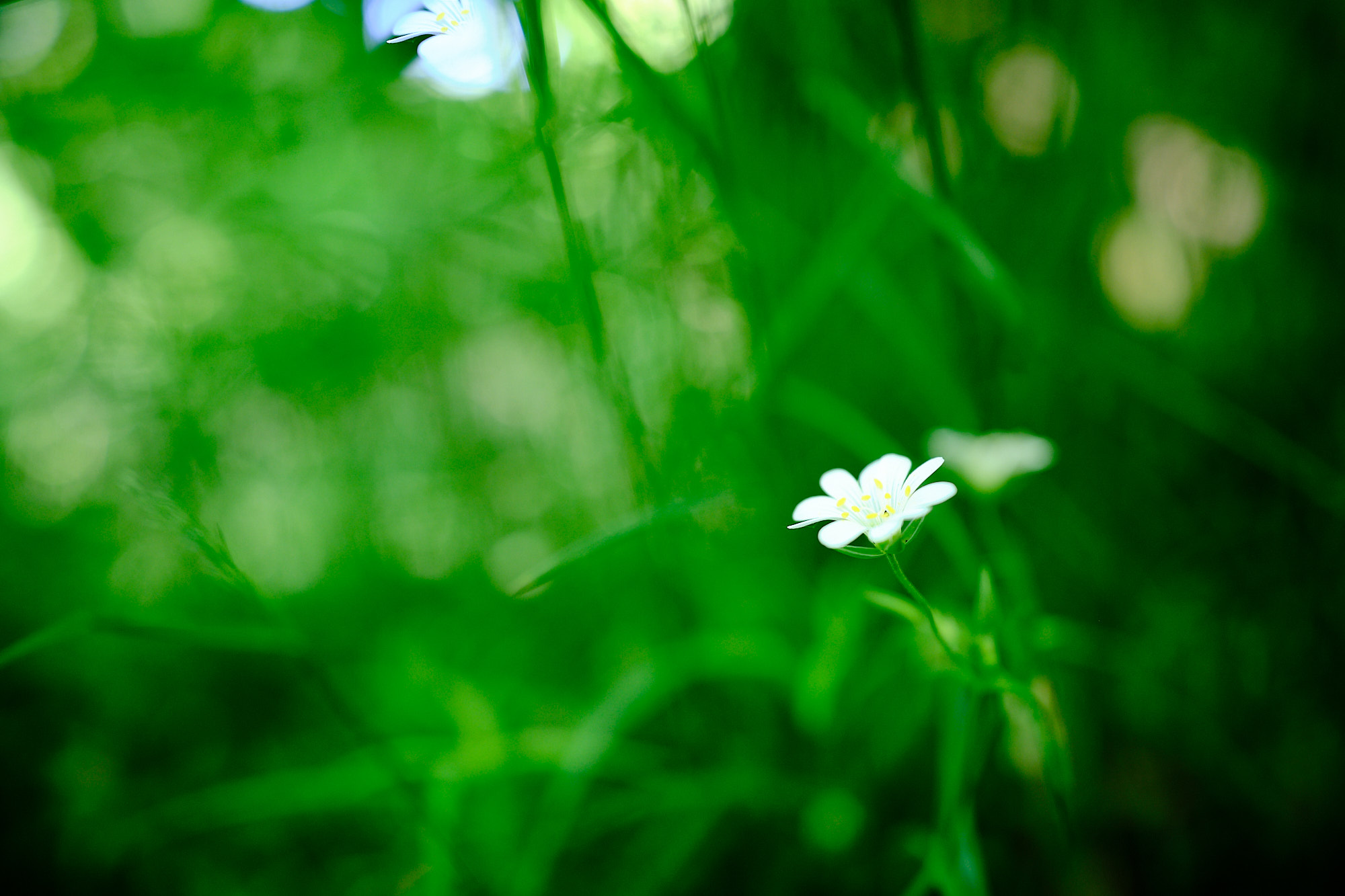 22 05 14 xt3  DSF9424