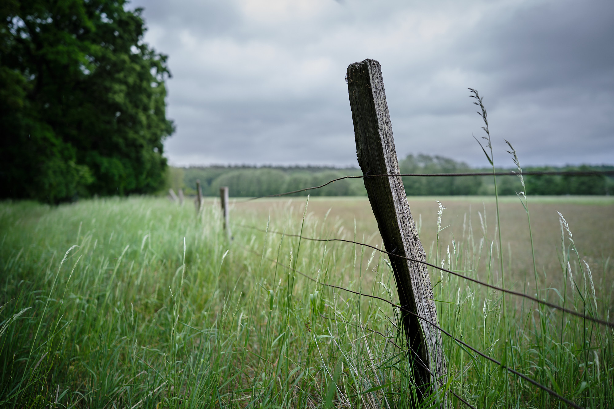 22 05 21 xt3  DSF9769