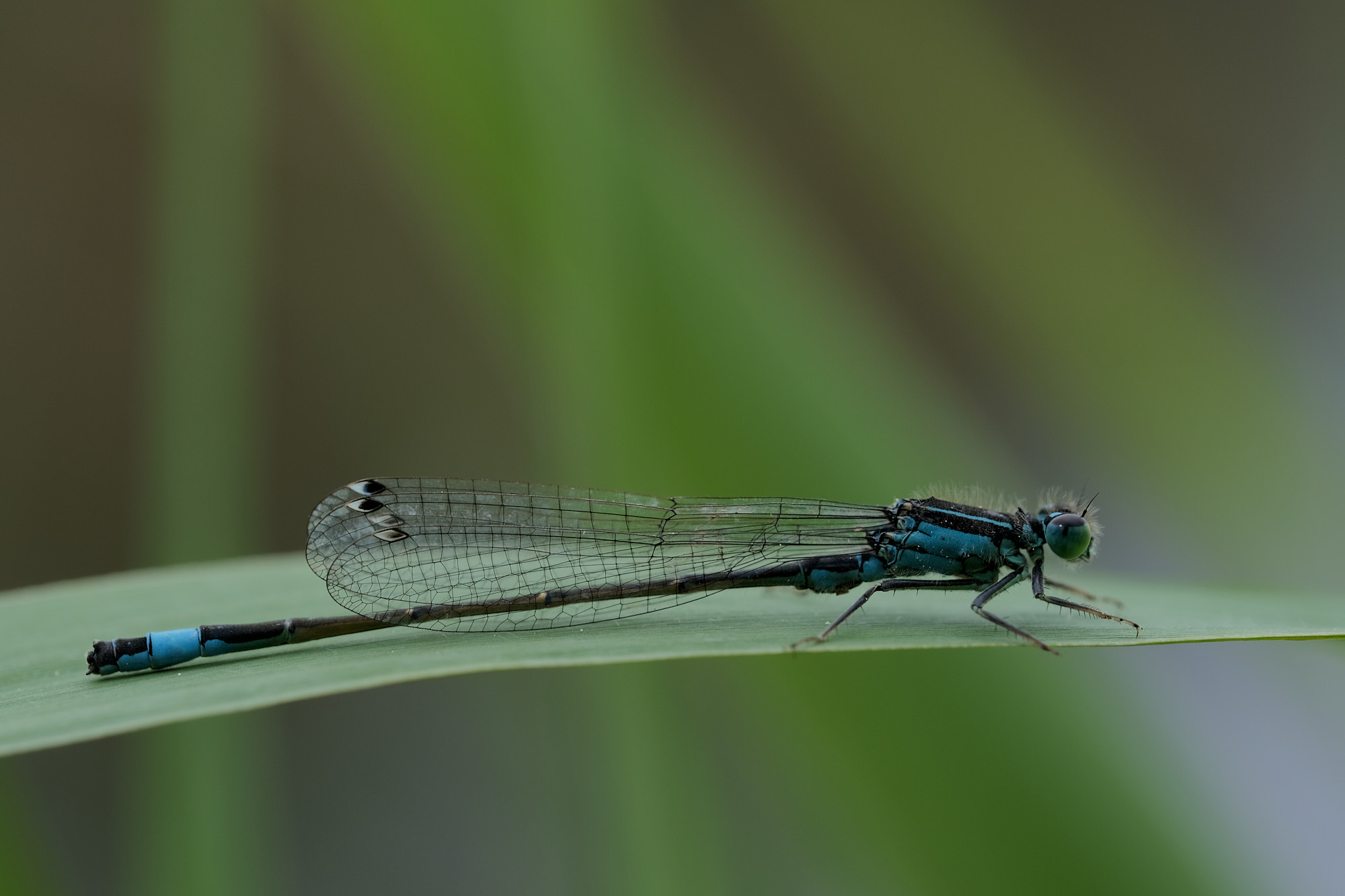 22 05 22 xt3 DSCF2262