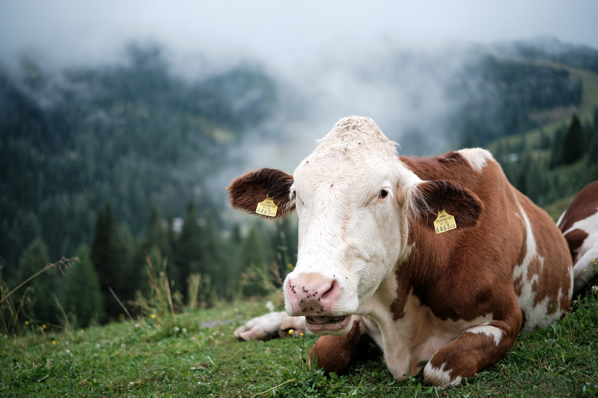 22 08 07 xt3 DSCF5887