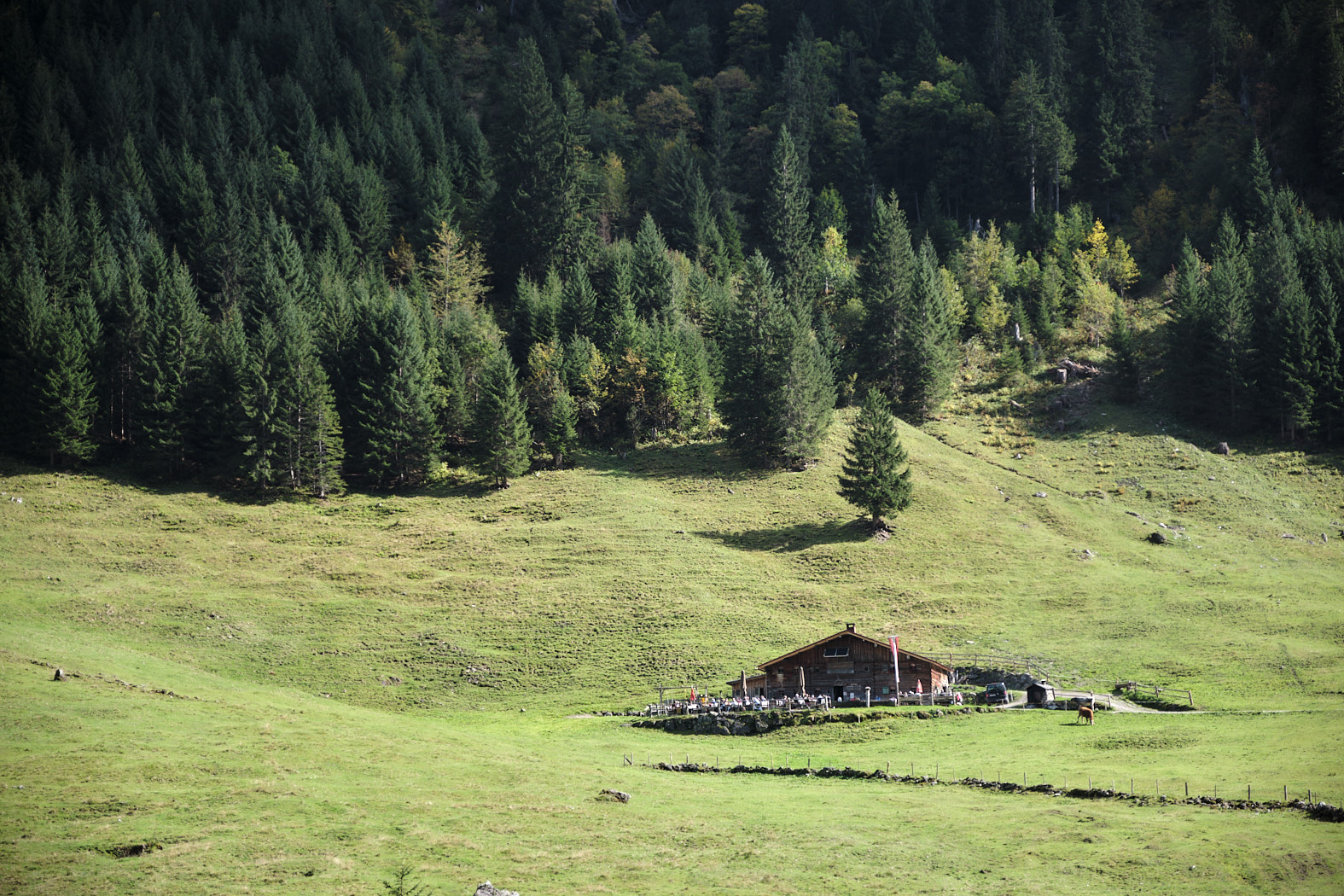 21 10 02 xt3  DSF8090