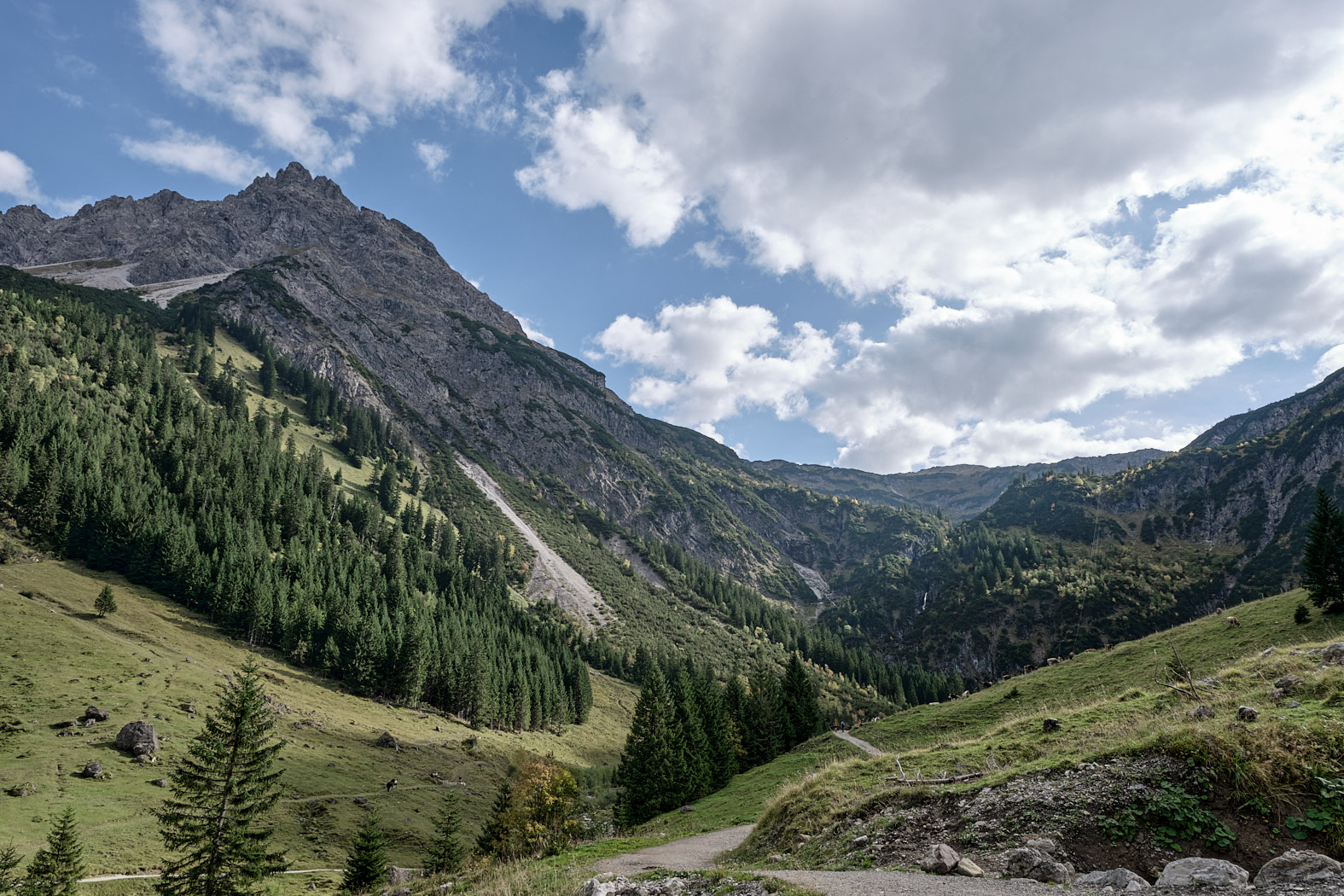 21 10 02 xt3  DSF81071