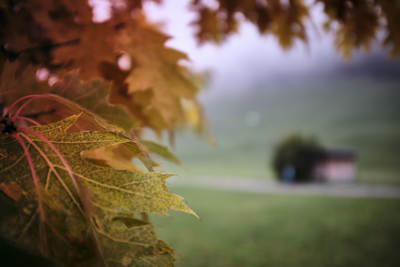 21 10 03 x100F  DSF52931