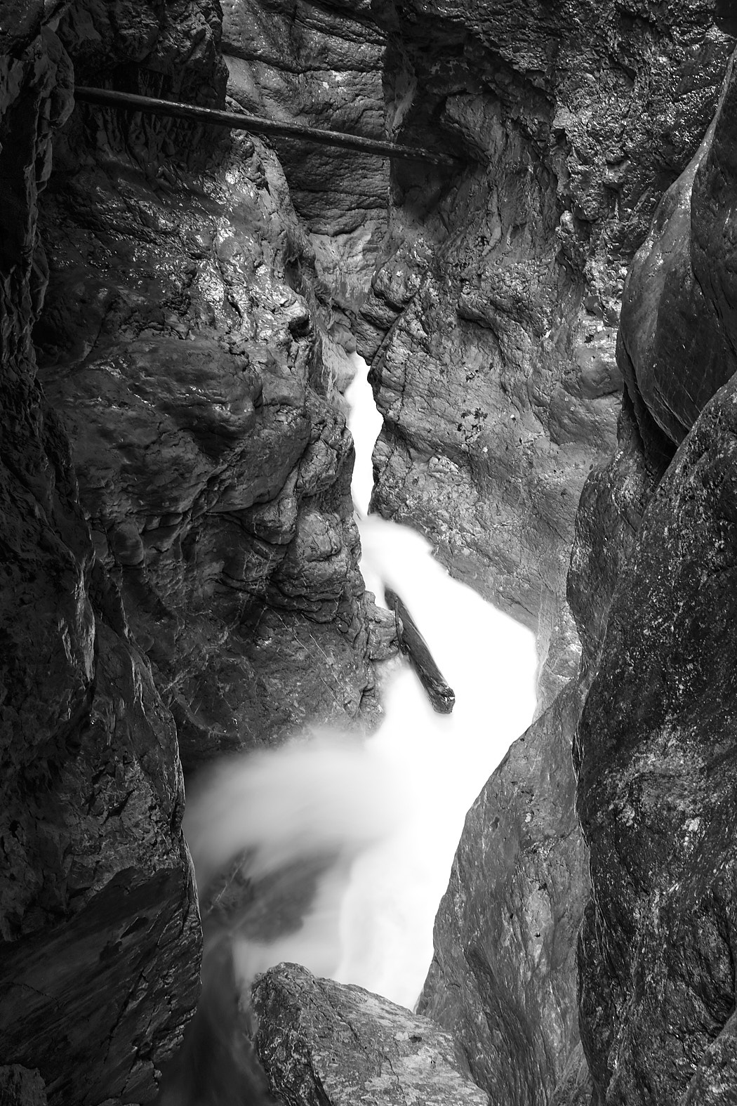 21 10 03 x100F  DSF5559