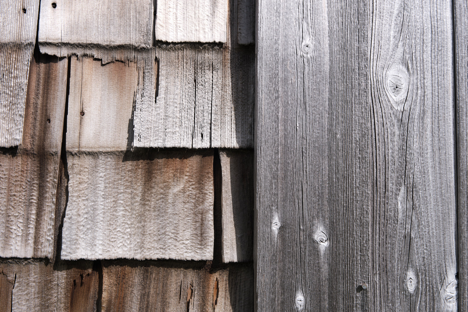 21 10 03 xt3  DSF8223