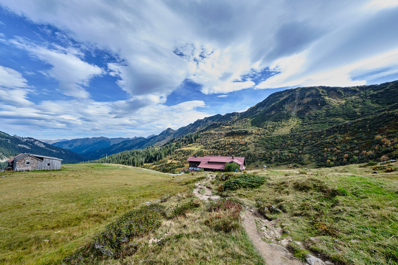 21 10 03 xt3  DSF8260