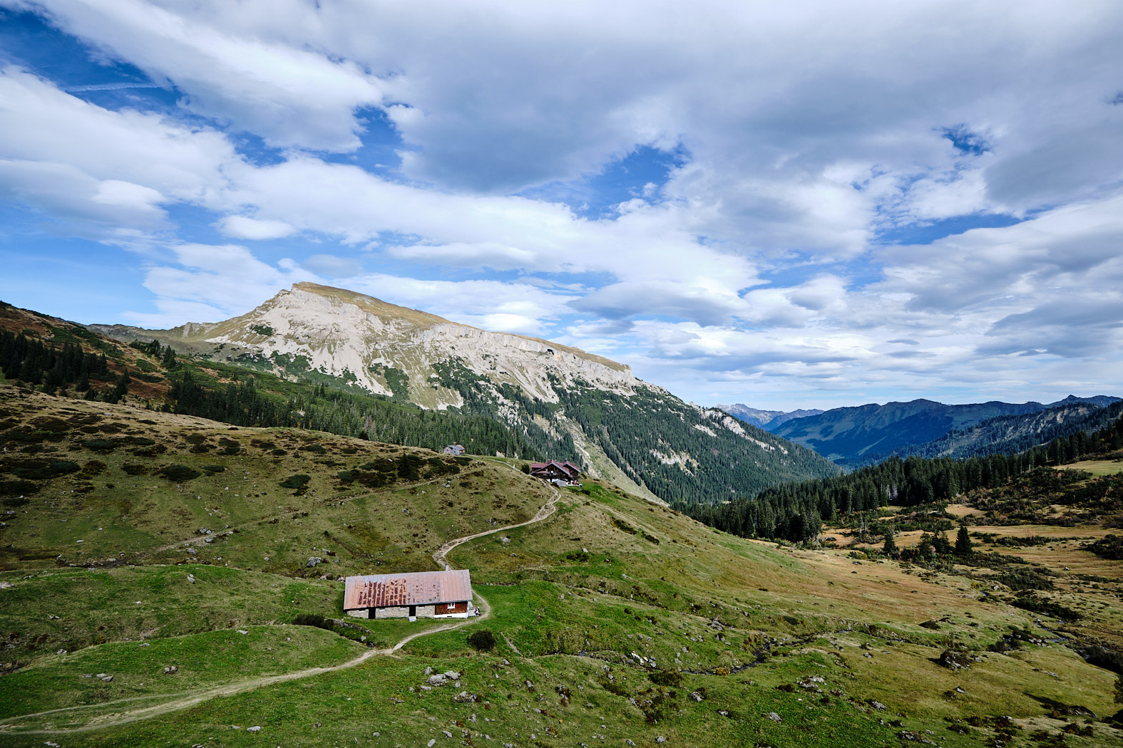 21 10 03 xt3  DSF8290