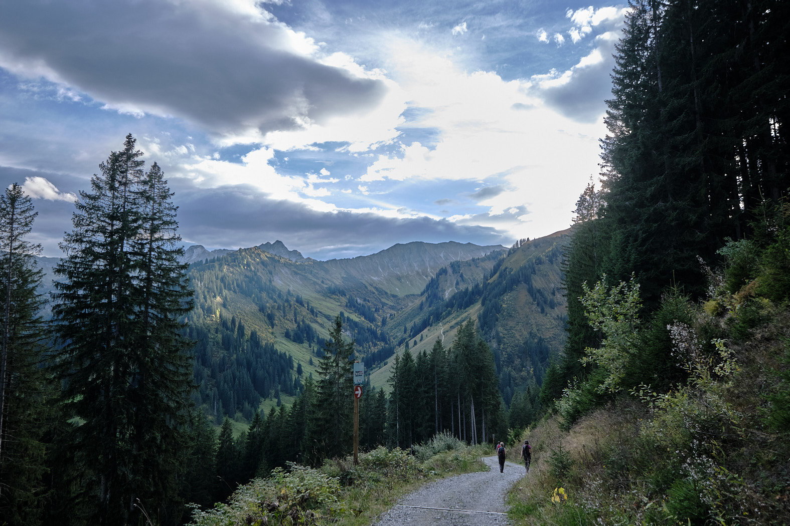 21 10 03 xt3  DSF8529