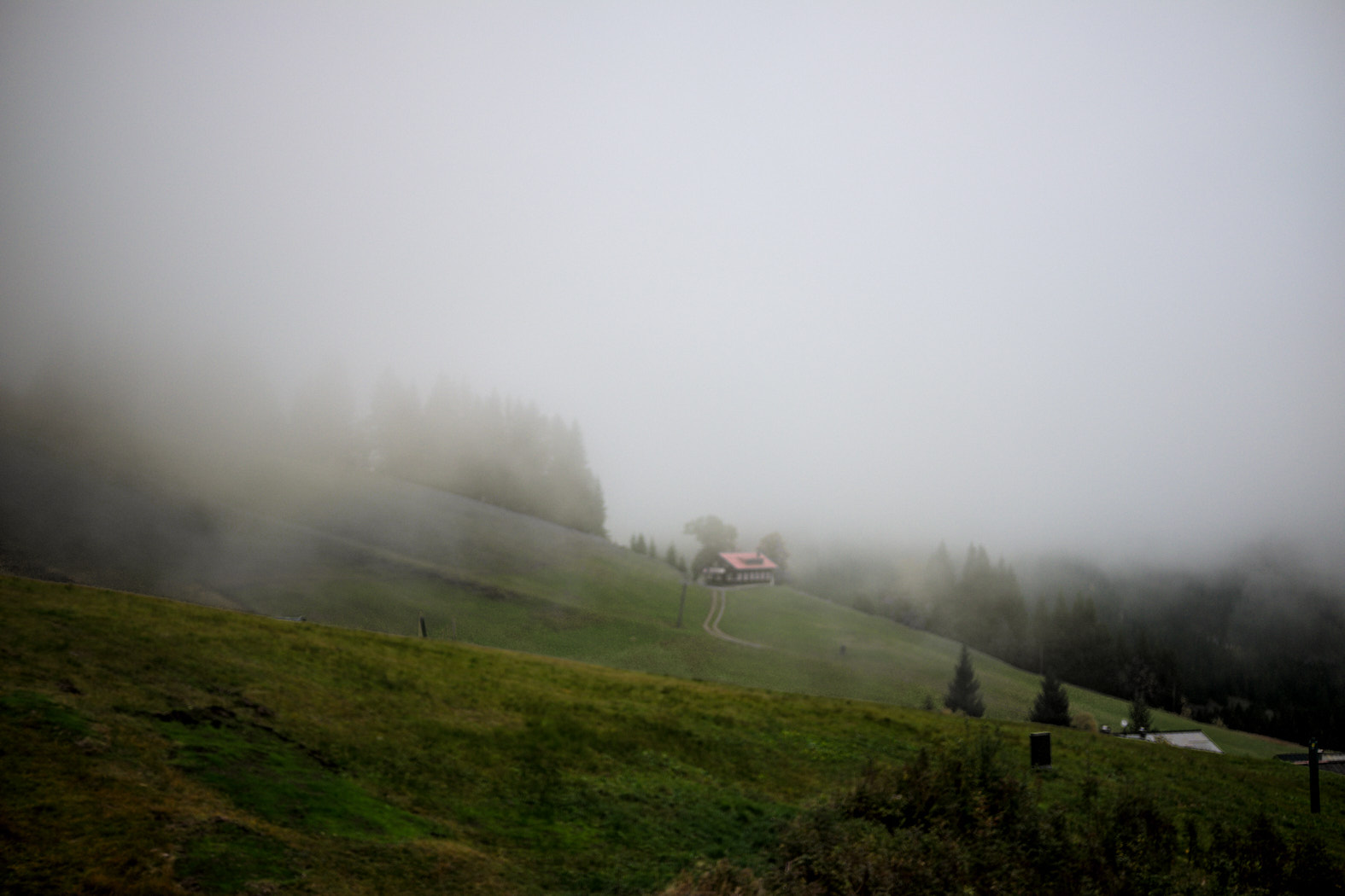 21 10 04 x100F  DSF5663