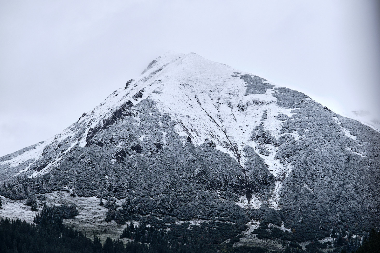 21 10 06 xt3  DSF87251