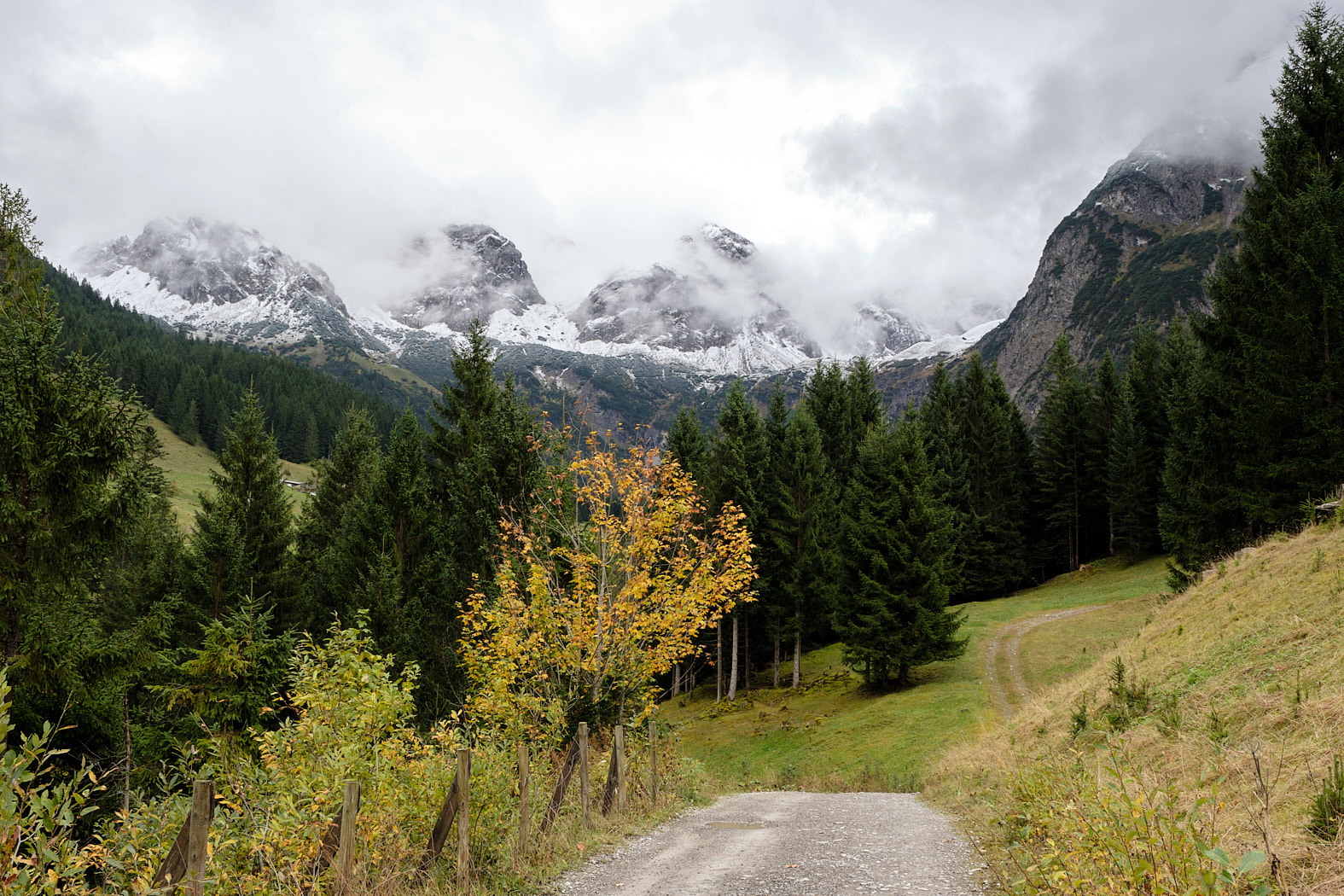 21 10 06 xt3  DSF8952