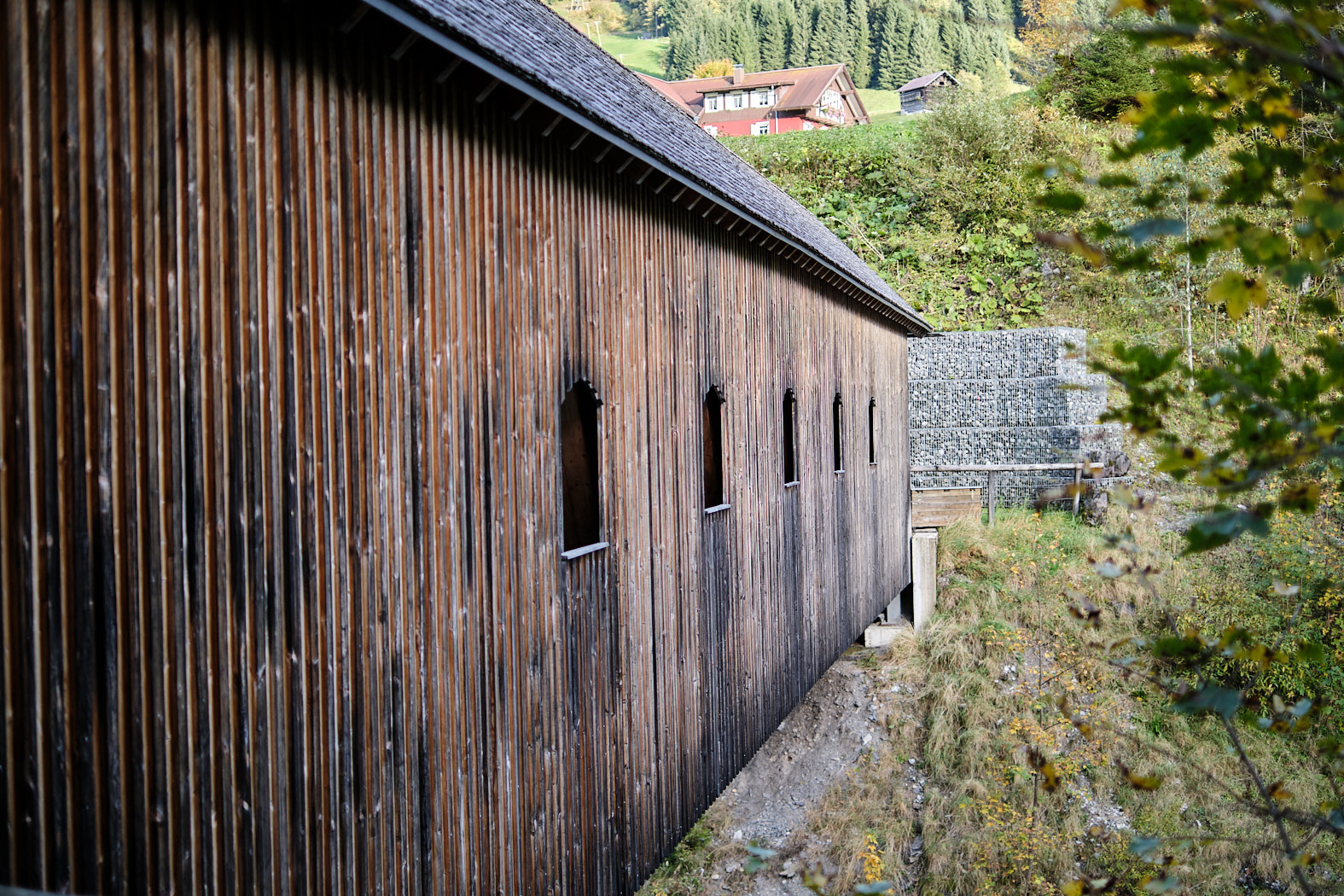 21 10 06 xt3  DSF9414