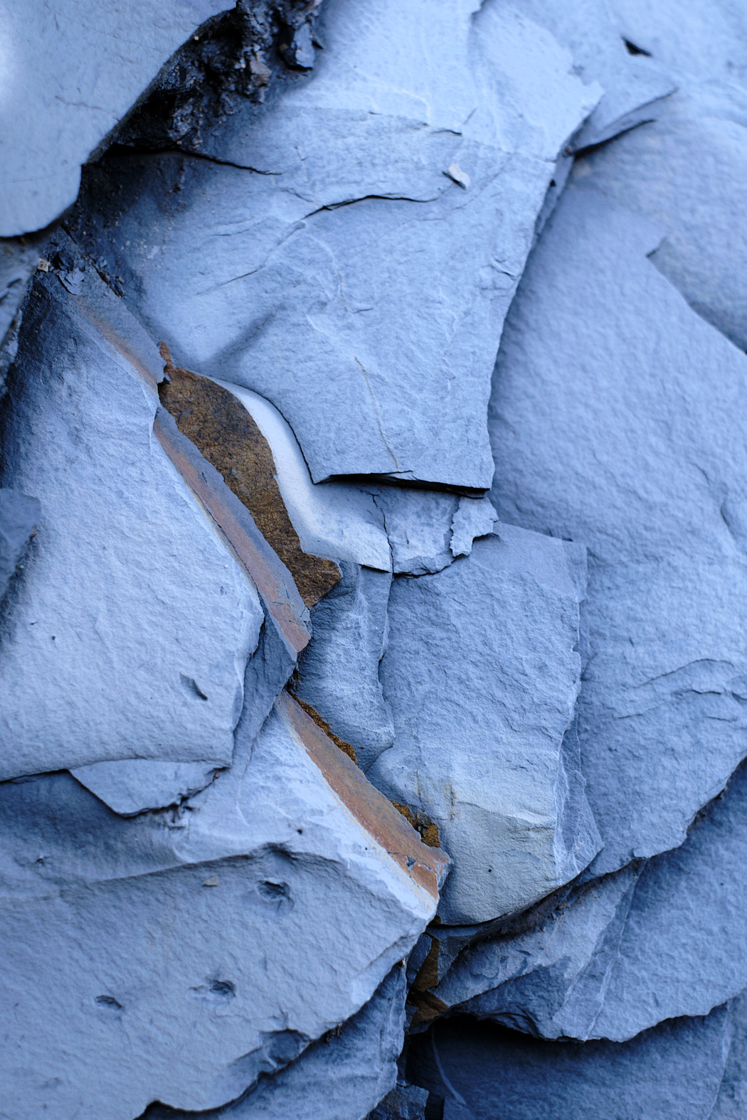 21 10 06 xt3  DSF9428