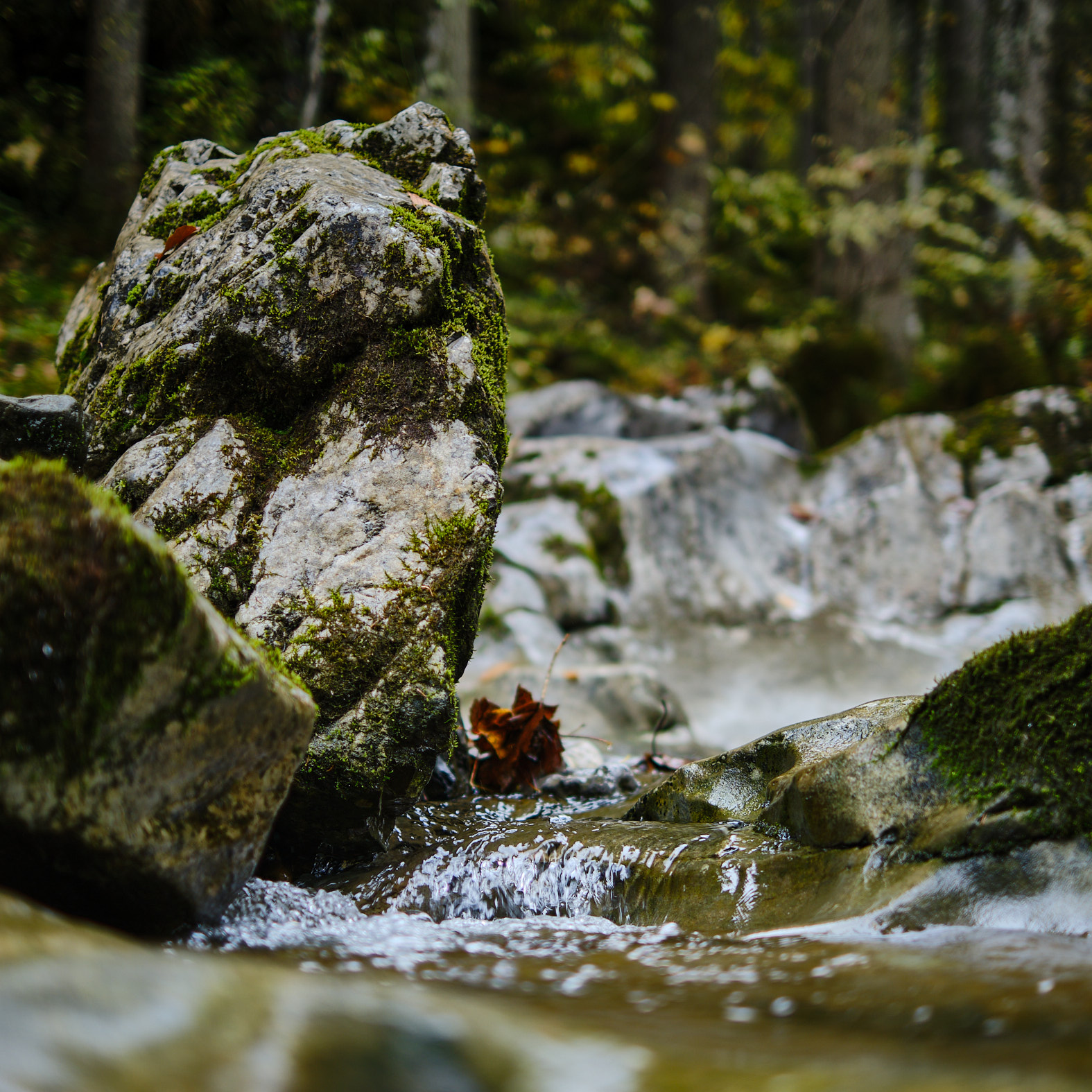 21 10 07 xt3  DSF95561