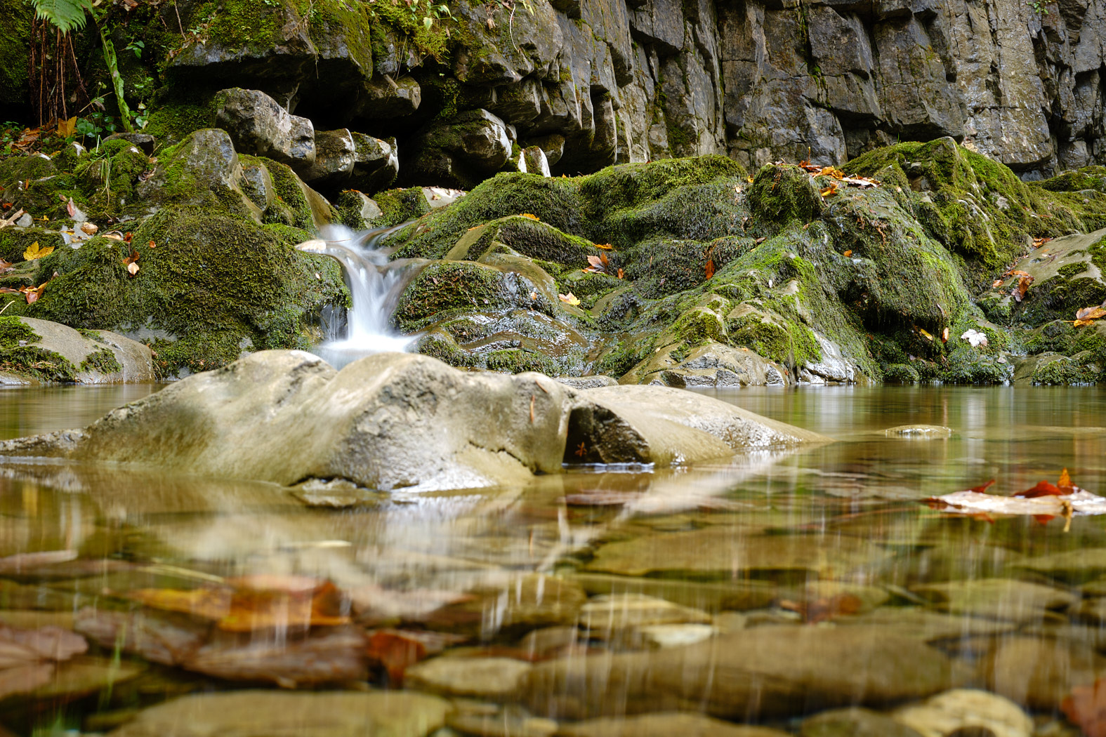 21 10 07 xt3  DSF9605