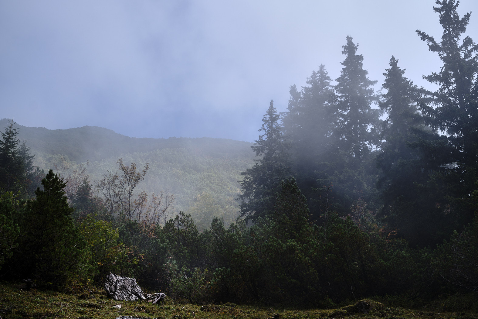 21 10 08 xt3  DSF0568