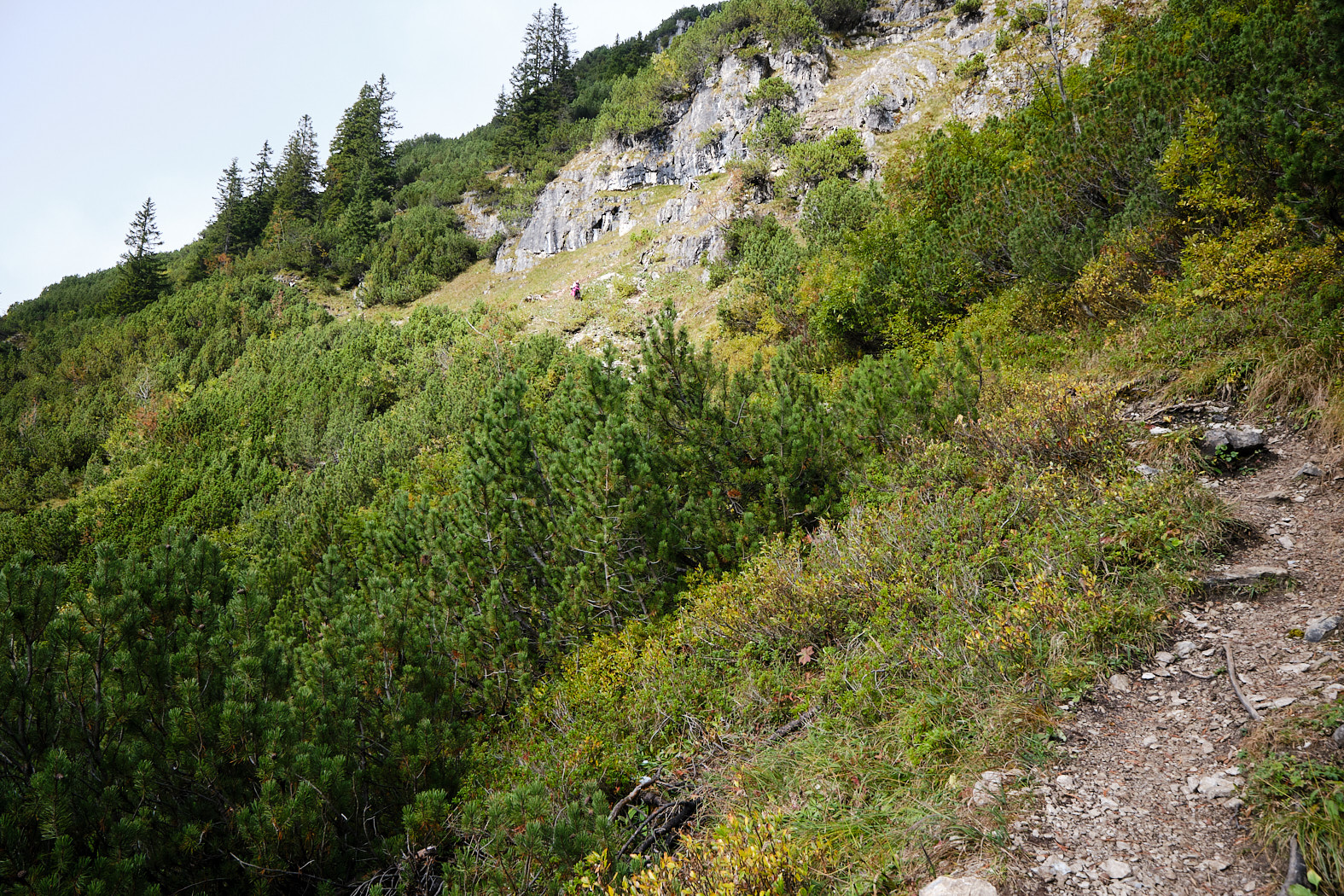 21 10 08 xt3  DSF1006