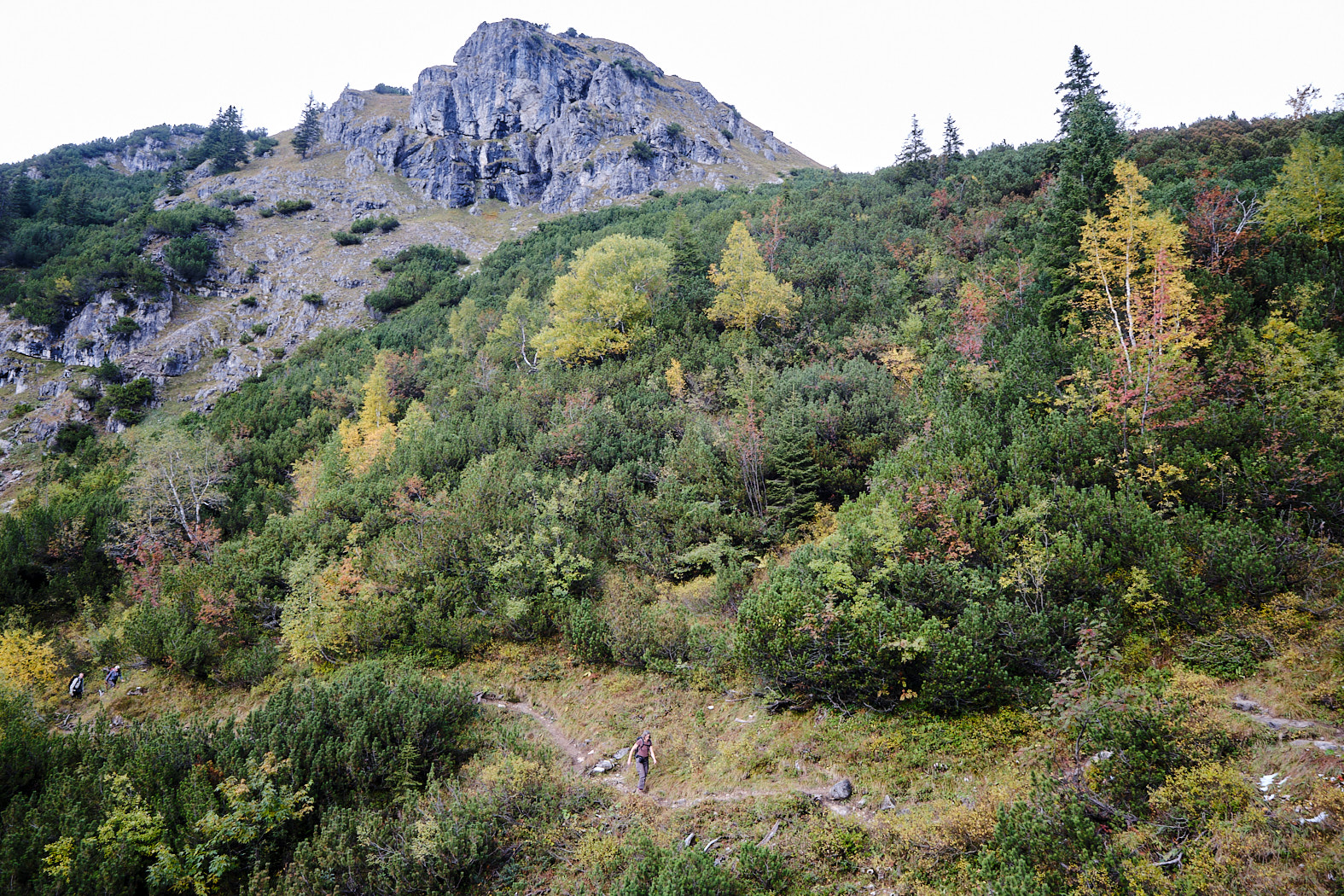 21 10 08 xt3  DSF1045