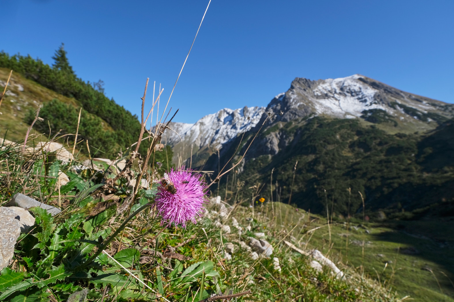 21 10 09 xt3  DSF1853