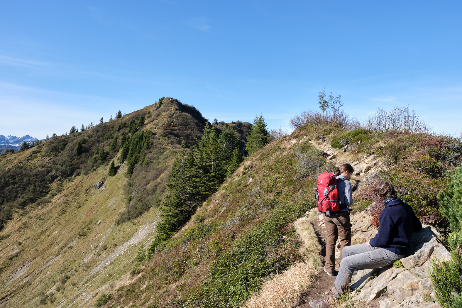 21 10 11 xt3  DSF4564