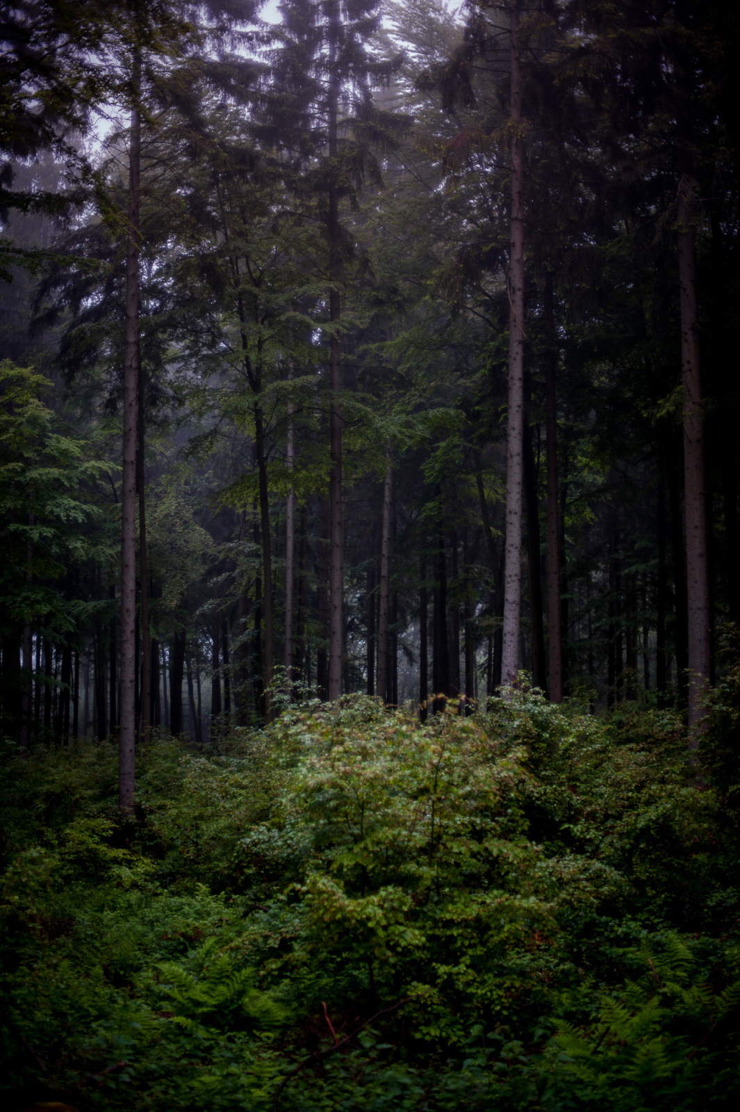 2013 06 01 12110899.1600