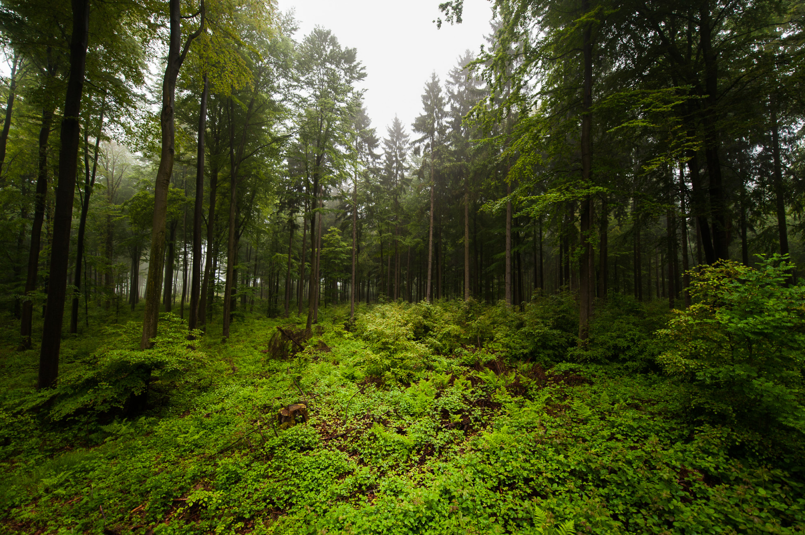 2013 06 01 12110911.1600