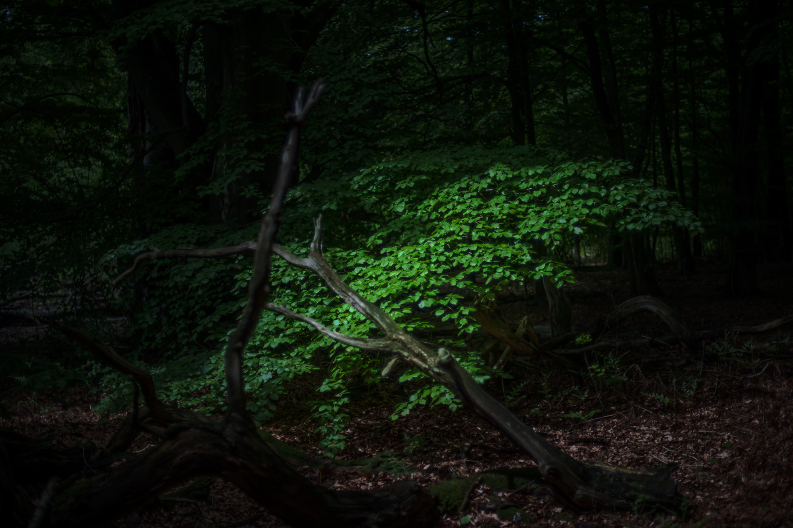 2013 06 02 12112001.1600