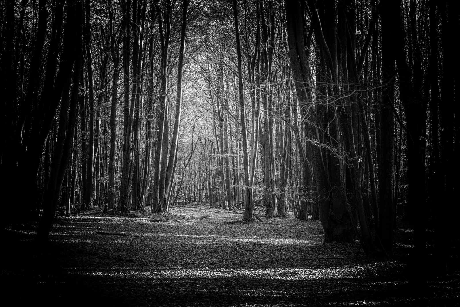 2013 10 23 8822 Bearbeitet Bearbeitet.1600