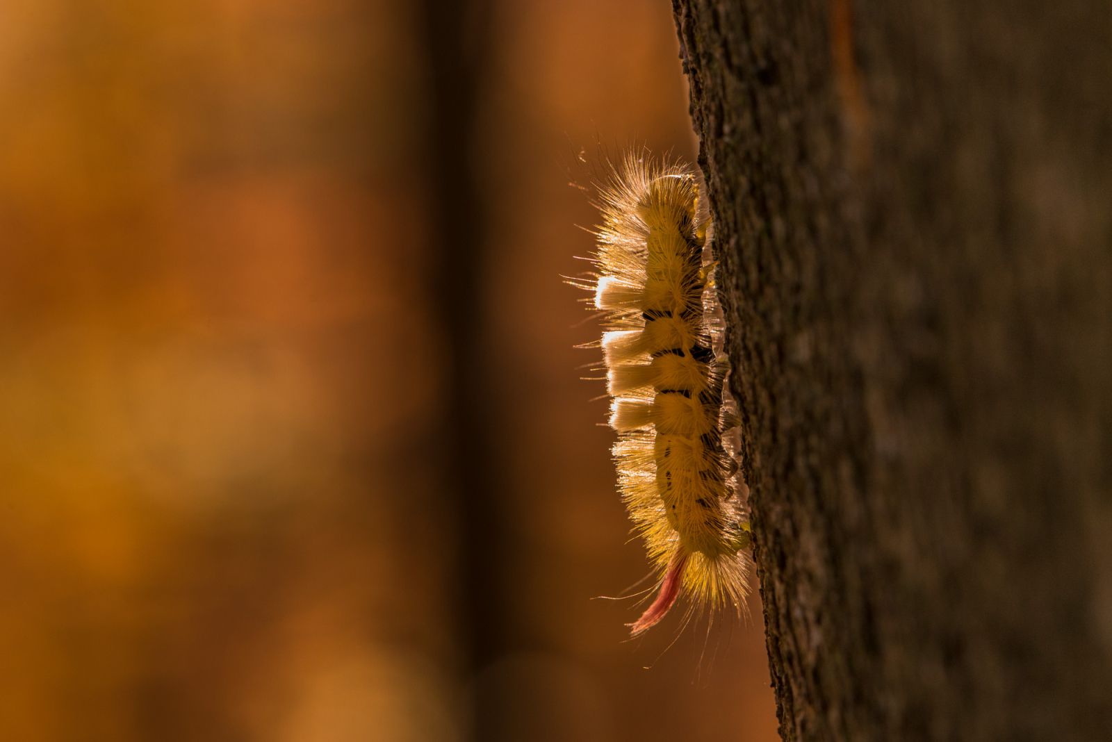 2013 10 24 10138.1600