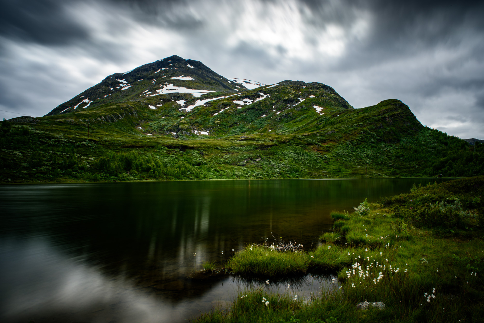 2015 08 10 D810 1288.1600