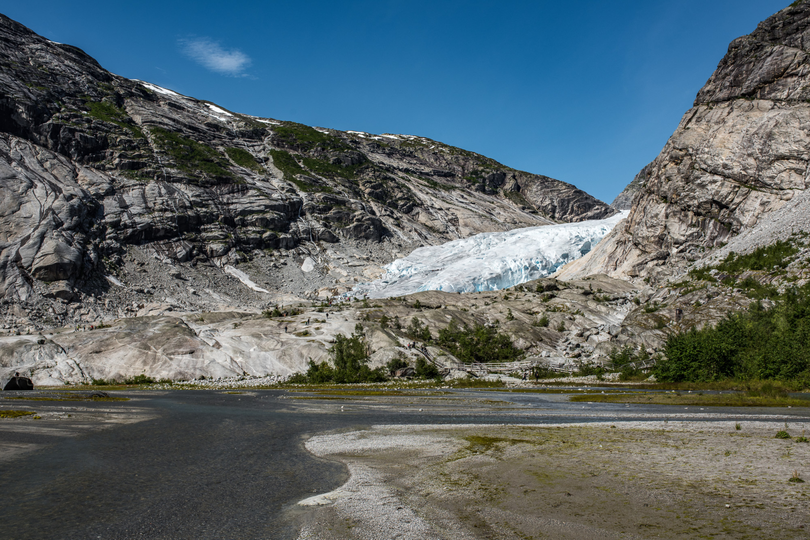 2015 08 13 D810 2347.1600