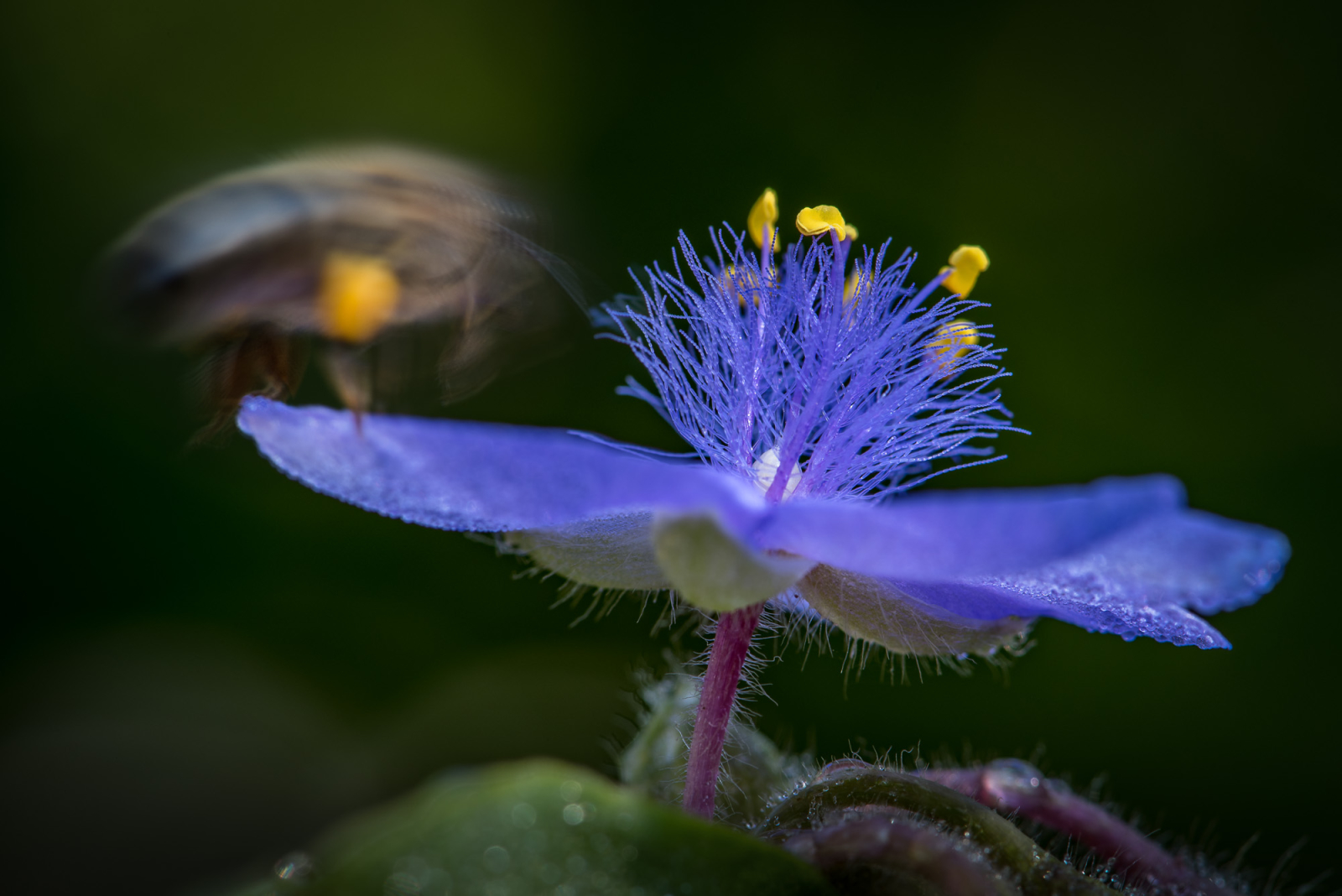 2015 08 21 D750 4629 Bearbeitet.1600