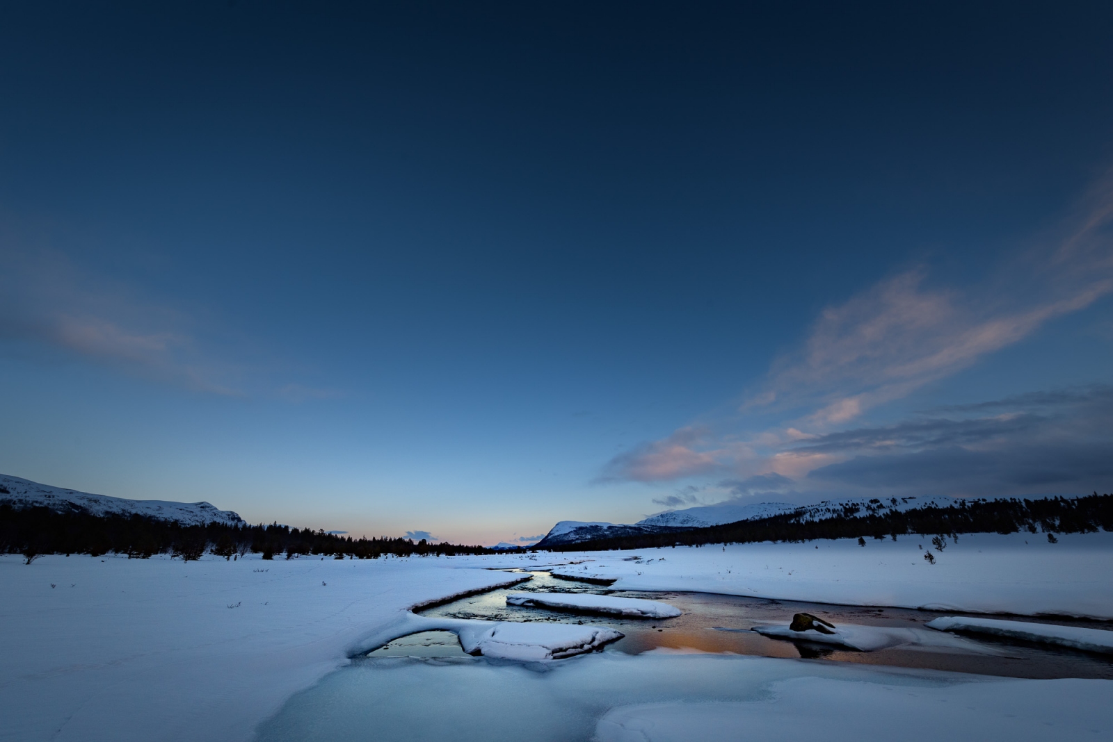 2017 03 14 D810 7113.1600